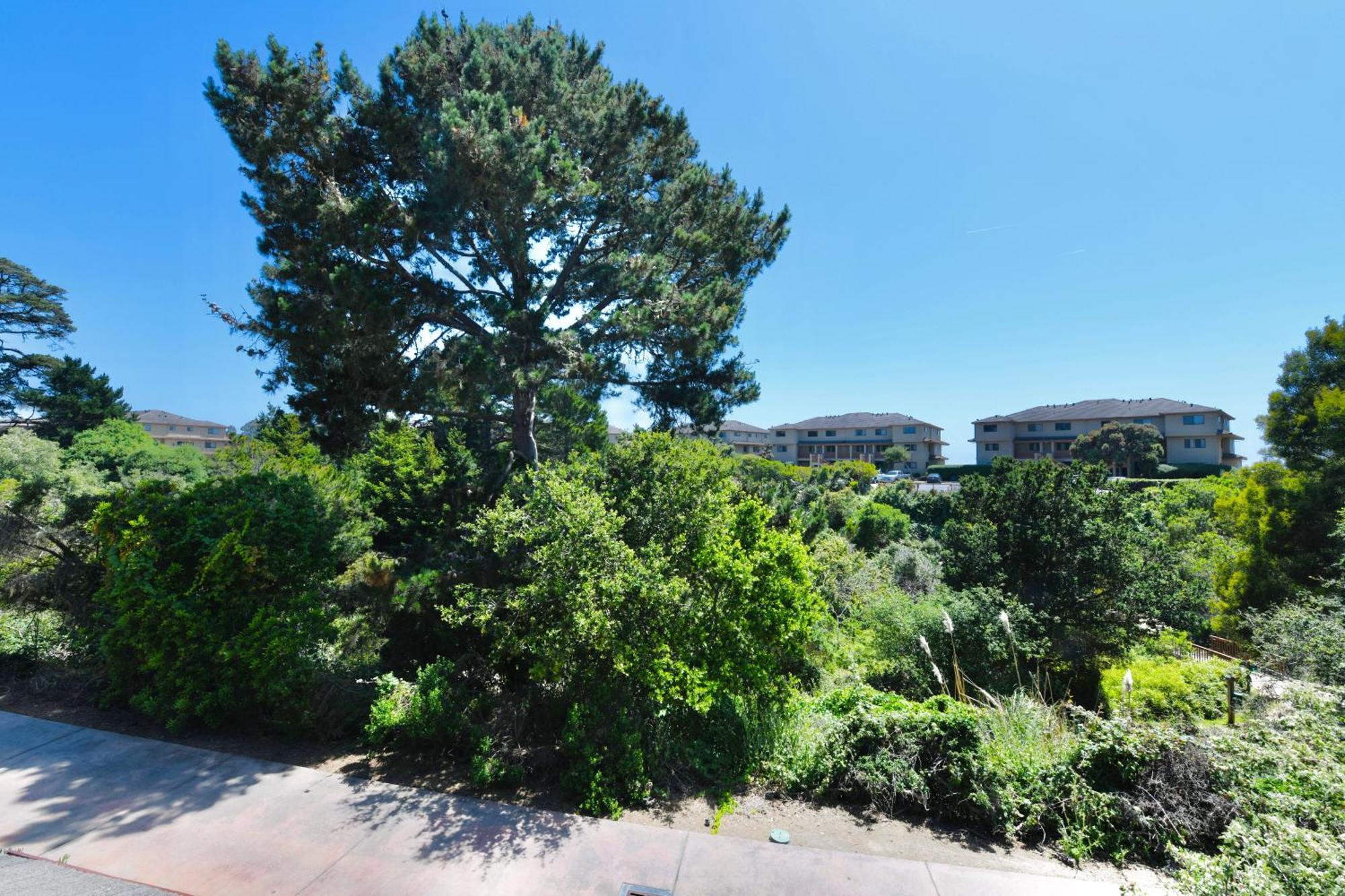 Luxury Villa - Flora View - Ground Level -Seascape Aptos Eksteriør bilde